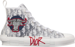 Dior x Shawn Ox Patch High-Top 'B23' Sneakers
