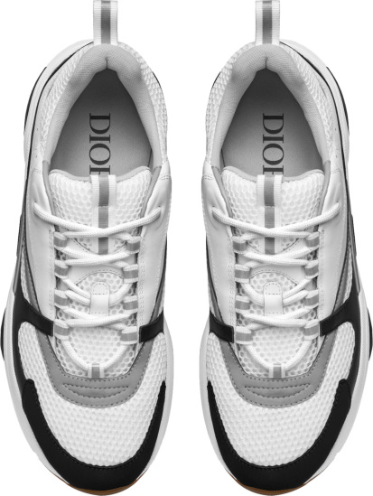 Dior White Silver And Black B22 Sneakers