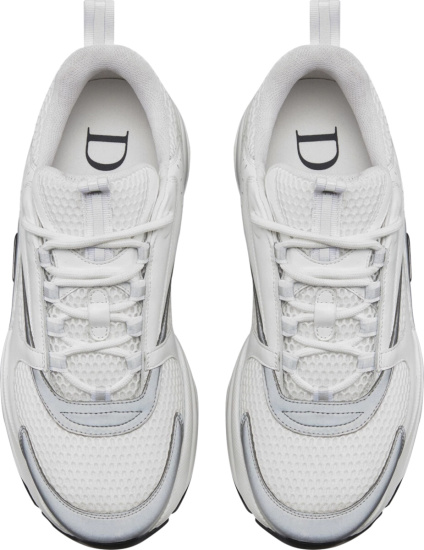 Dior White Silver B22 Sneakers