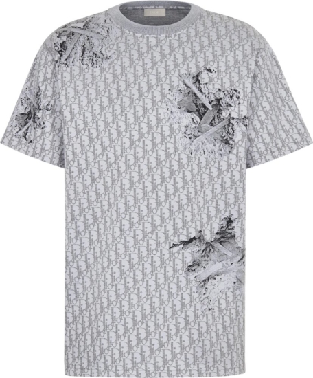 Dior X Daniel Asham Oblique Eroded Grey T Shirt