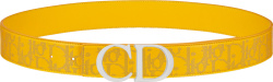 Yellow Oblique 'World Tour' Belt