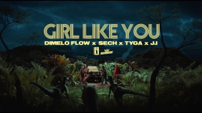 Incorporated Style Cover Image For Damelo Flow Sech Tyga Ji Girl Like You Music Video