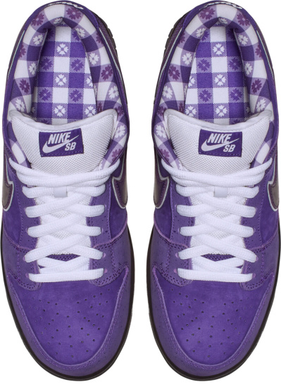 Nike Dunk Sb Concepts Purple Suede