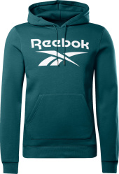 Reebok Teal Vector Logo Hoodie