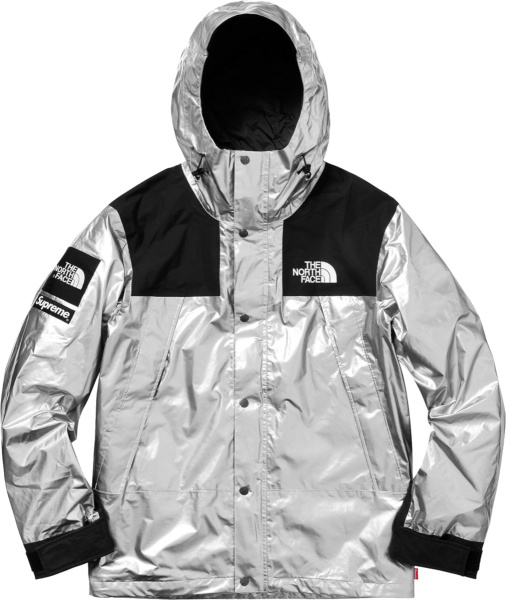 Supreme X The North Face Metallic Silver Jacket