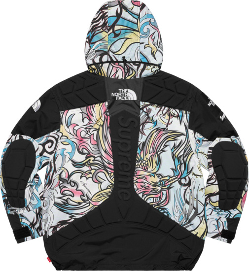 Supreme X The North Face Multicolor Dragon Print Padded Apogee Jacket